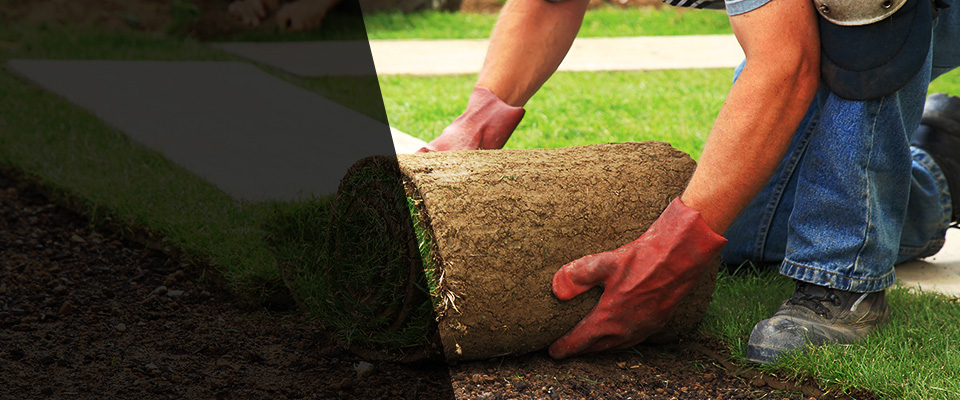 Milroy Landscapers